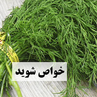 خواص شوید + 29 خاصیت شوید برای سلامتی، پوست و بیماری ها