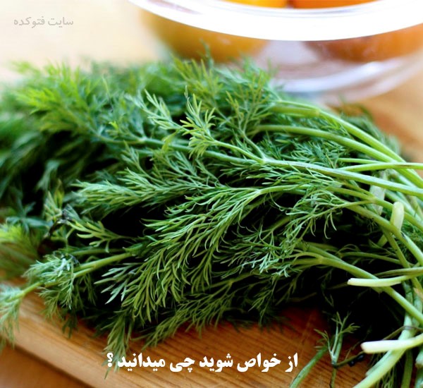 خاصیت شوید برای سلامتی، پوست و بیماری ها