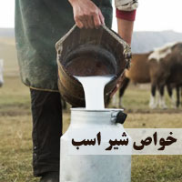 خواص شیر اسب | ۱۵ خاصیت شیر اسب برای سلامتی