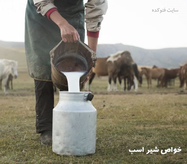 خواص شیر اسب برای انسان در سلامتی
