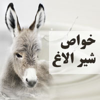 خواص شیر الاغ + 13 خاصیت شیر الاغ برای سلامتی