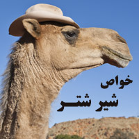 خواص شیر شتر + 21 خاصیت شیر شتر برای سلامتی