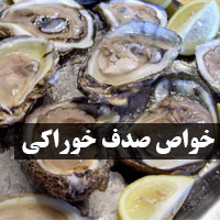 خواص صدف خوراکی + ۱۴ خاصیت صدف بری پوست و بدن