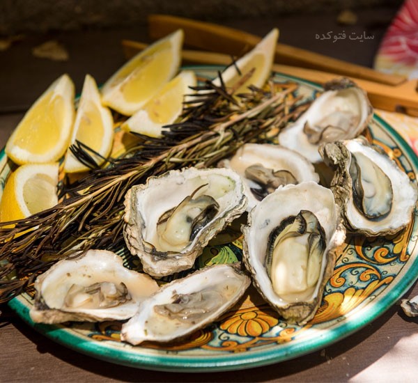 صدف خوراکی چه خواصی دارد و آیا حلال است یا حرام