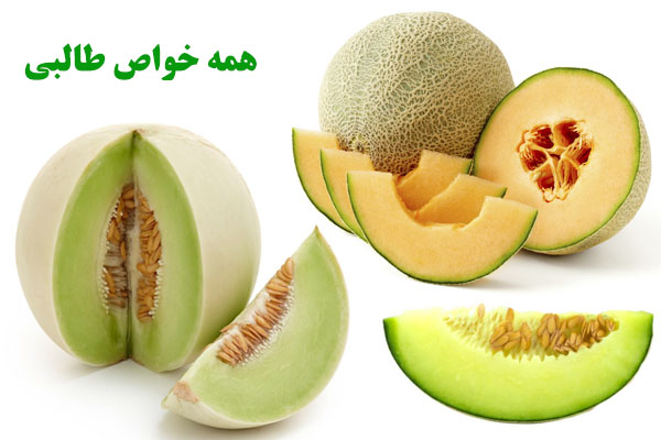 خاصیت طالبی برای سلامتی، پوست و مو