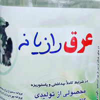 خواص عرق رازیانه + ۲۸ خاصیت دارویی عرق رازیانه