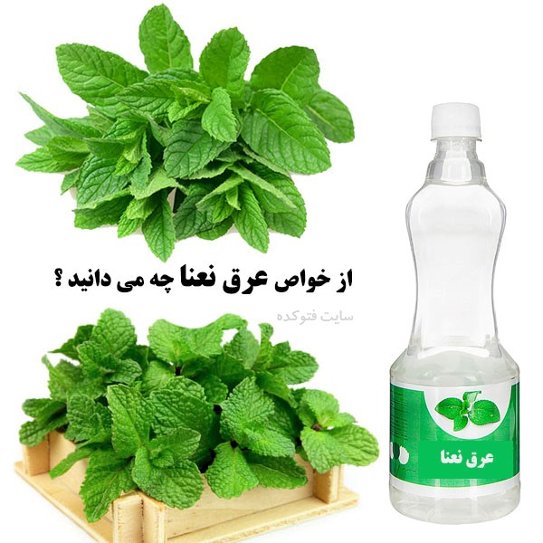خواص عرق نعنا چیست