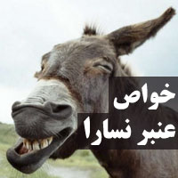 خواص عنبر نسارا چیست + 24 خاصیت عنبر نسارا که نمی دانید