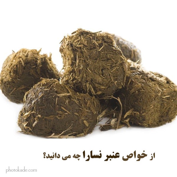 عنبر نسارا چه خواصی دارد