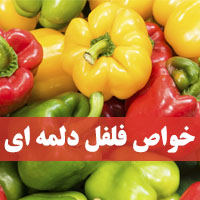 خواص فلفل دلمه ای | ۳۱ خاصیت فلفل دلمه برای لاغری، دیابت