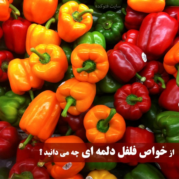 خاصیت فلفل دلمه برای لاغری، دیابت