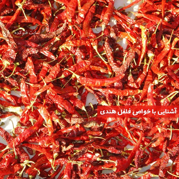 عکس فلفل هندی چه شکلی است