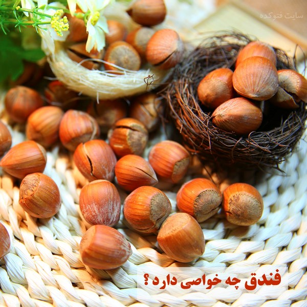 فندق چه خواصی دارد ؟ بصورت کامل در سایت فتوکده بخوانید