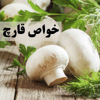 خواص قارچ + 48 خاصیت قارچ برای لاغری، بدنسازی و پوست