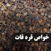 خواص قره قات + ۱۸ خاصیت قره قاط برای چشم لاغری و دیابت