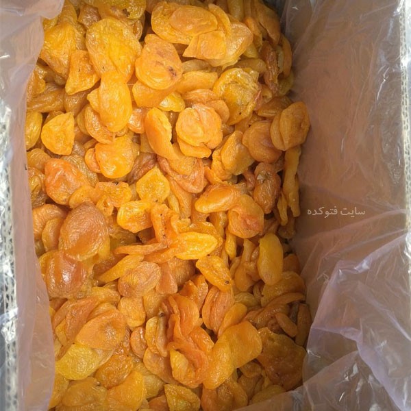 خاصیت برگه زردآلو خشک برای دیابت کودکان بارداری و یبوست