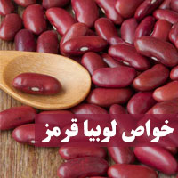 خواص لوبیا قرمز + ۴۱ خاصیت لوبیا قرمز برای سلامتی