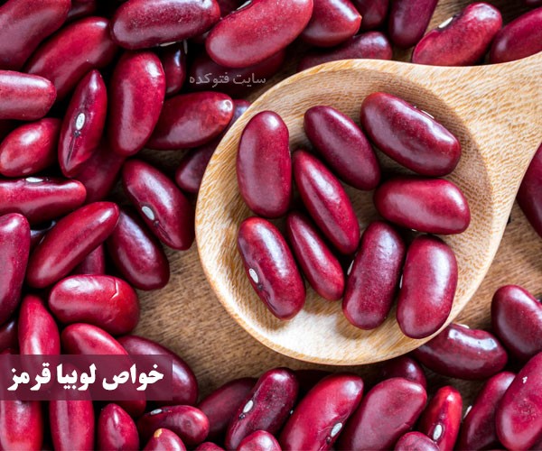 Kidney bean