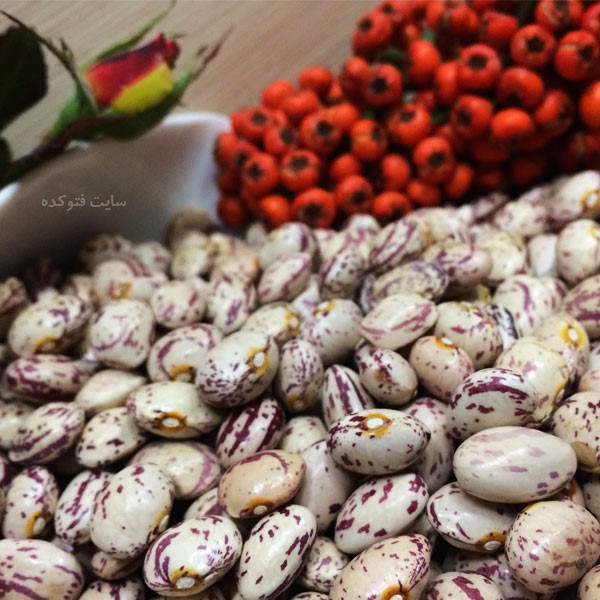 فایده لوبیا چیتی برای زنان باردار و بدنسازی چیست