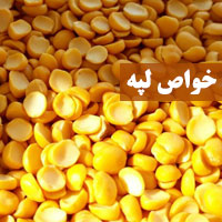 خواص لپه + ۱۴ خاصیت لپه برای کودکان پوست و قوای جنسی