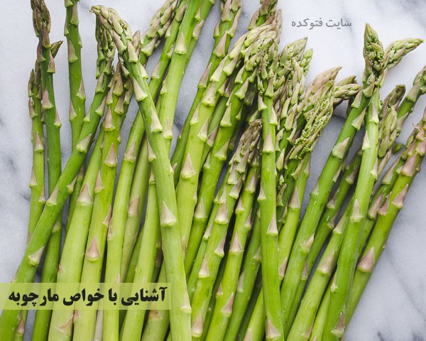 خواص مارچوبه