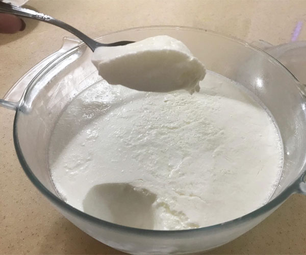 فواید ماست یونانی