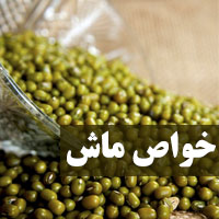 خواص ماش برای لاغری و پوست ودر طب سنتی چیست