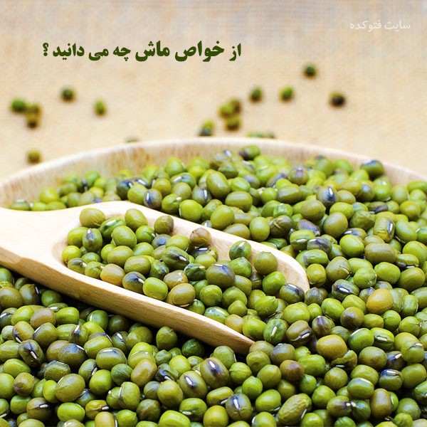خاصیت ماش برای بدنسازی، لاغری و پوست