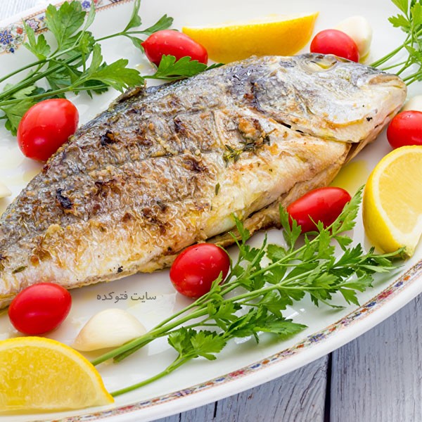 خاصیت خوردن ماهی در بارداری + مضرات و عوارض