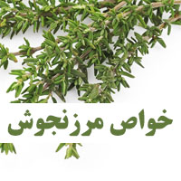 خواص مرزنجوش | 26 خاصیت مرزنجوش برای لاغری، قاعدگی