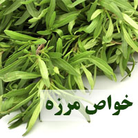 خواص مرزه چیست + 29 خاصیت مرزه برای سلامتی