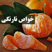 خواص نارنگی برای لاغری و بارداری