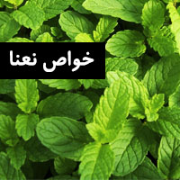 خواص نعناع - 18 خاصيت نعناع برای سلامتی و زیبایی