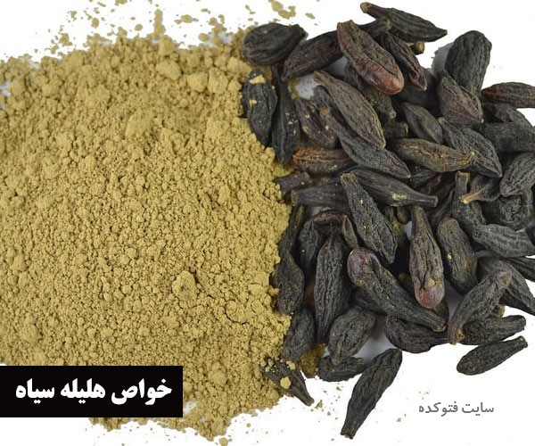 خاصیت و مضرات مصرف هلیله سیاه و زرد