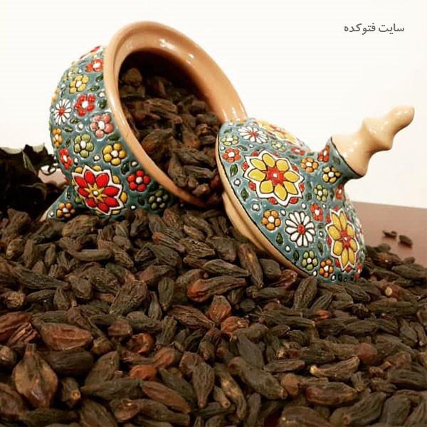 خواص و عوارض هلیله سیاه چیست