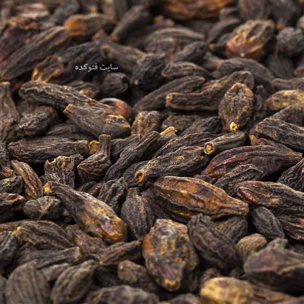عوارض هلیله سیاه
