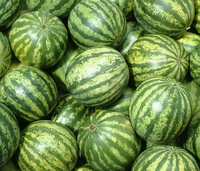 خواص هندوانه (Watermelon) برای سلامت پروستات مردان و پسران در مقابل سرطان