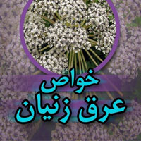 خواص و مضرات عرق زنیان از کبد تا چاقی و تیروئید