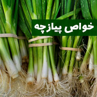 خواص پیازچه + ۳۰ خاصیت پیازچه برای پوست و مو لاغری