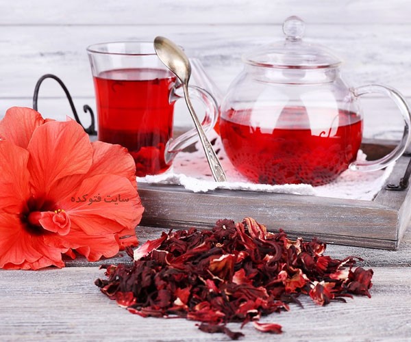 خاصیت چای ترش مکه در طب سنتی