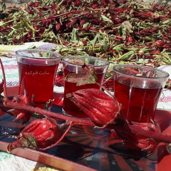 خواص چای ترش برای لاغری و کبد و دیابت