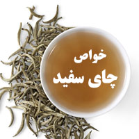 خواص چای سفید + 26 خاصیت درمانی چای سفید
