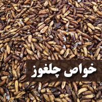 چلغوز چه خواصی دارد