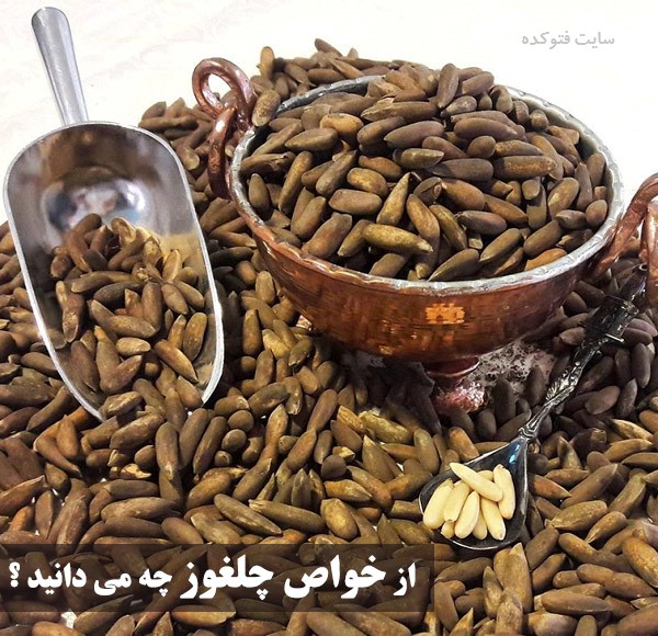 خواص چلغوز + 18 خاصیت چلغوز برای فشار، کلسترول و قوای جنسی