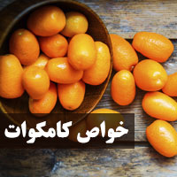 خواص کامکوات + ۴۰ فواید میوه کامکوات (پرتقال تزئینی)