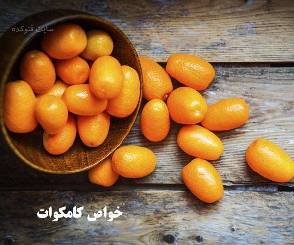 فواید کامکوات برای سلامتی و بدن چیست
