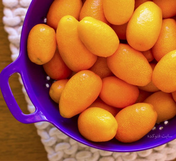 خواص پرتقال تزئینی شمال برای دیابت و زنان باردار