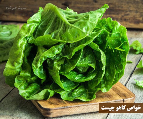 خاصیت کاهو برای زنان باردار و سلامتی زنان