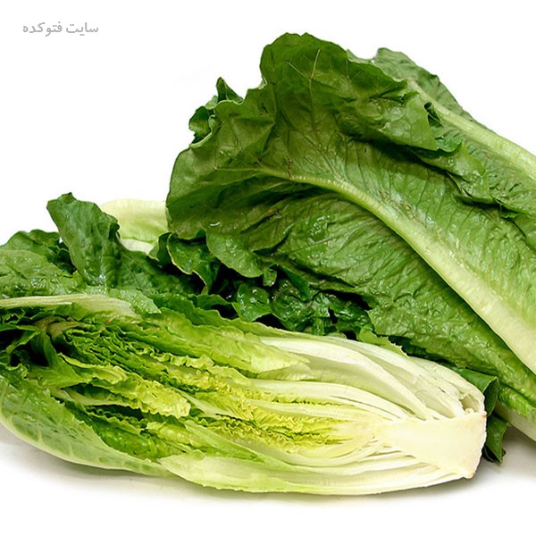 کاهو چه ویتامینی دارد