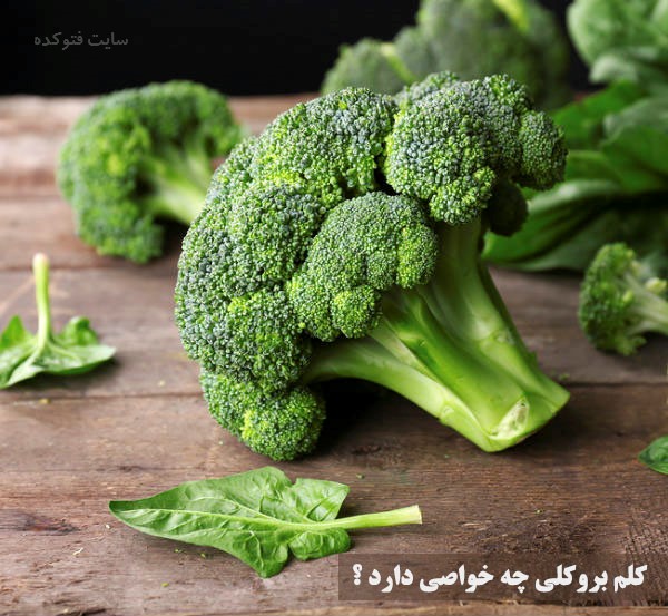 کلم بروکلی چه خواصی دارد ؟ + خاصیت کلم بروکلی چیست